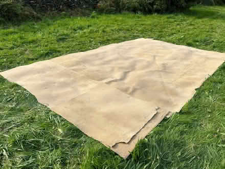 Photo of free Beige Carpet and/or Underlay (Hearthstone DE4) #1