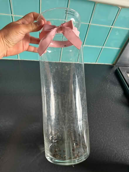 Photo of free Orchid vase (Central Watford WD23) #2