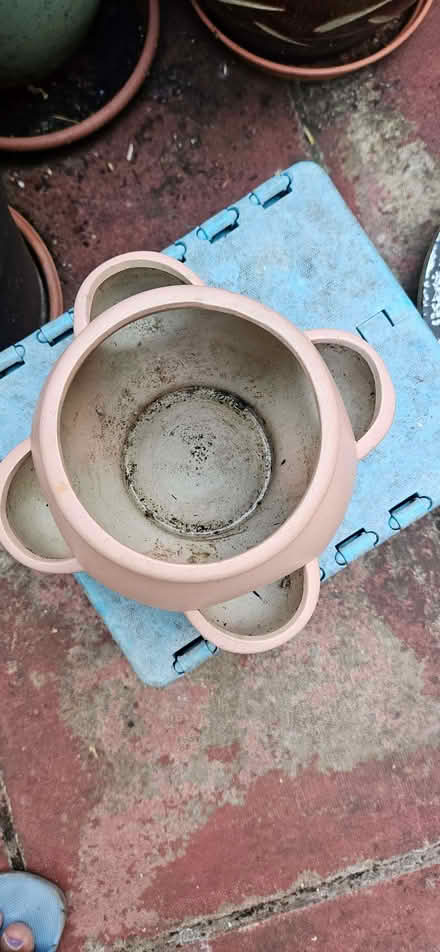 Photo of free Terracotta Herb Planter (CT10) #2