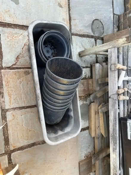Photo of free Plastic pots and planter (Blacklands TN34) #1
