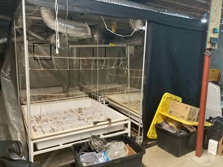 Photo of free Grow Tents 10 x 10ft & 5 x 8ft (Lafayette) #1