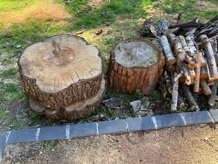 Photo of free kindling, logs and slabs (bundanoon) #3