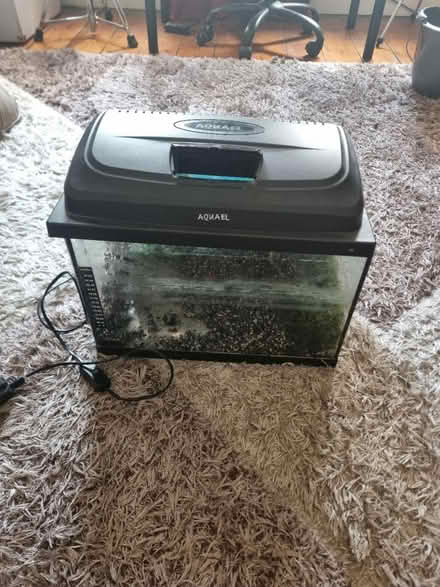 Photo of free Fish Tank (ilford) #2