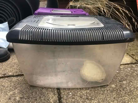 Photo of free Plastic terrarium/tank (Broadclyst) #1
