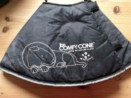 Photo of free Comfy cone for dogs, Labrador size (Freehold LA1) #1