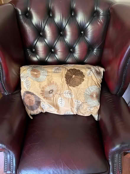 Photo of free Cushion (Wollaton NG8) #1