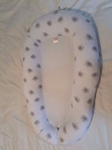 Photo of free Baby sleep nest (Penrith CA11) #1
