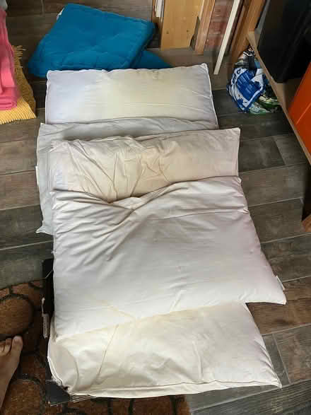 Photo of free Pile of pillows and cushions (Swindon SN25) #1