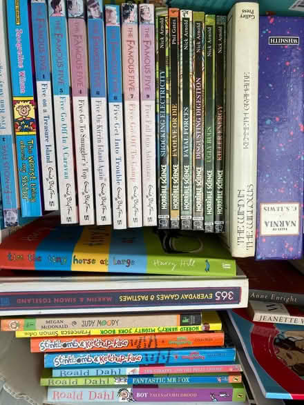 Photo of free Job lot of books (NR4) #2