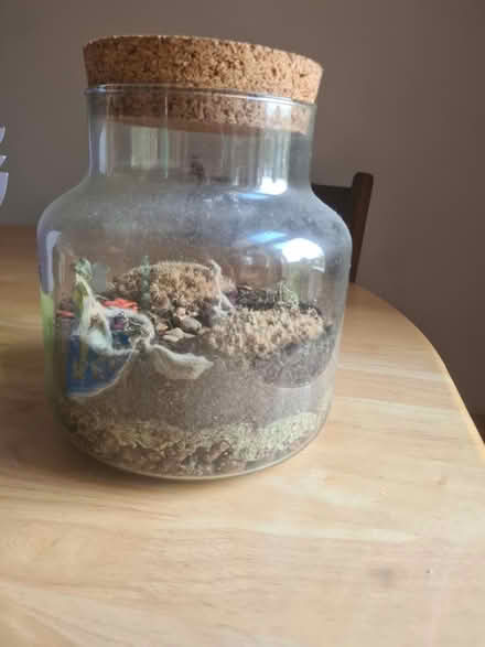 Photo of free Terrarium (CT17) #1