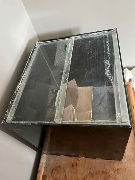 Photo of free Fish tank (East Dulwich SE22) #3