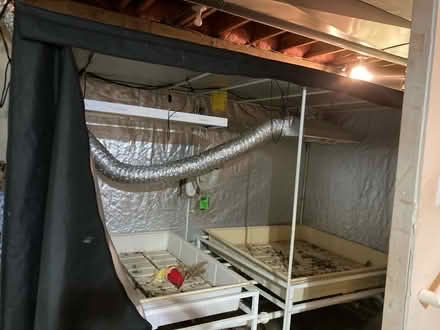 Photo of free Grow Tents 10 x 10ft & 5 x 8ft (Lafayette) #2