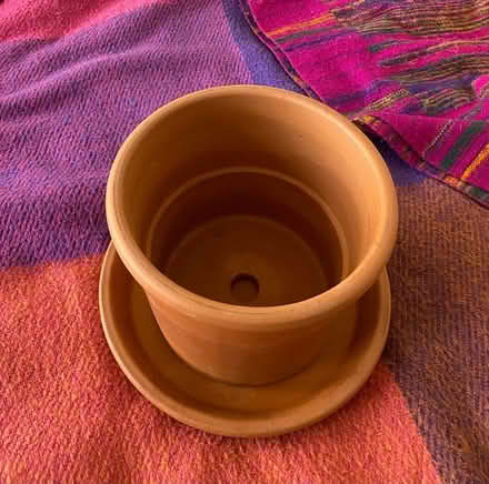 Photo of free Terracotta plant pot 7.1” (Finsbury Park N4) #2