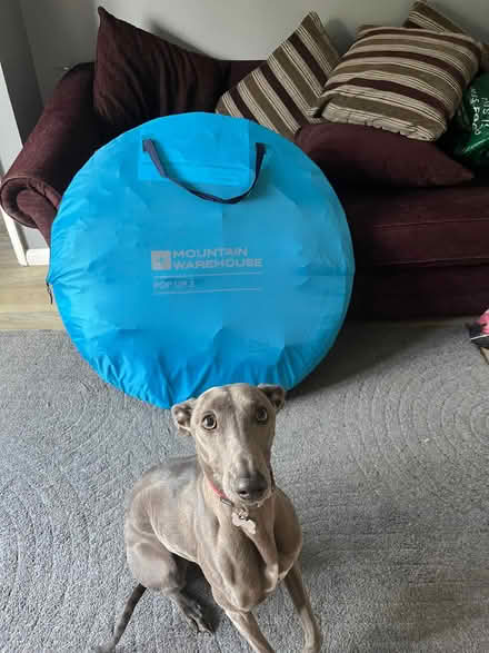 Photo of free Popup tent 3man (Bladon OX20) #1