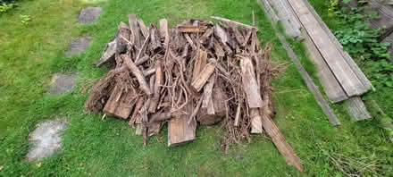 Photo of free Firewood - Well Seasoned (Bagshot GU19) #1