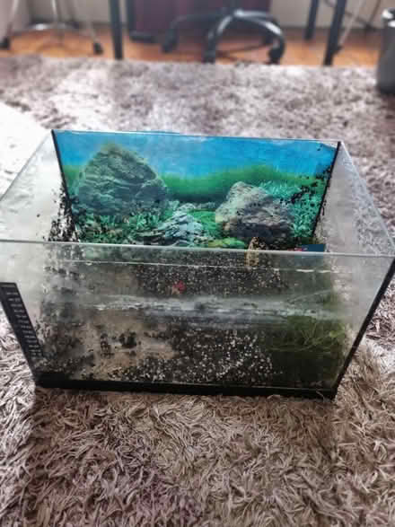 Photo of free Fish Tank (ilford) #1