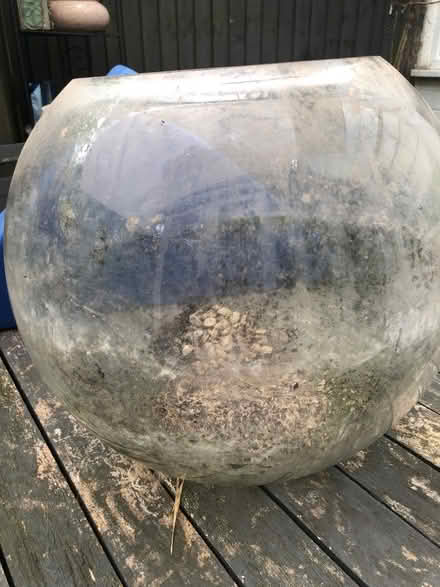 Photo of free Large glass terrarium (Mongewell Wallingford OX10) #1