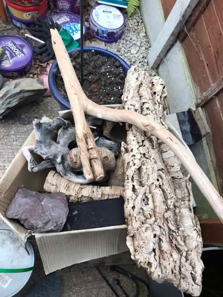 Photo of free 4 foot vivarium and accessories (Clayton-Le-Woods, PR25) #2