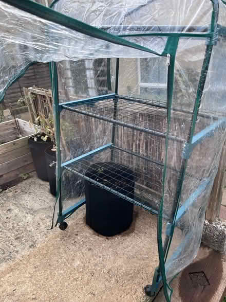 Photo of free Small plastic greenhouse (BA2) #2