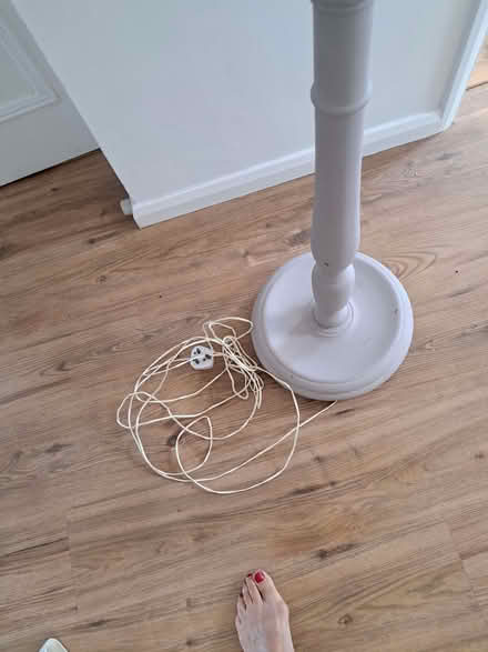 Photo of free Standard Lamp (Steyning BN44) #2