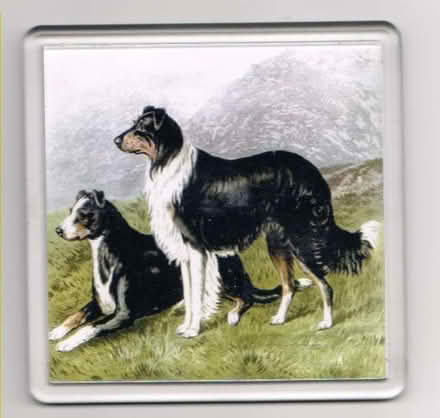 Photo of free Set of four plastic coasters featuring "Hornpipe" (Talbot Village BH12) #1