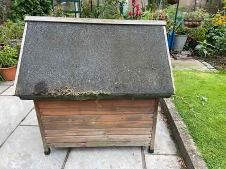 Photo of free Large dog kennel (Spital CH63) #2