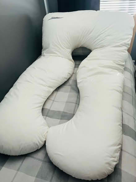 Photo of free Body pillow (Gosport PO12) #1