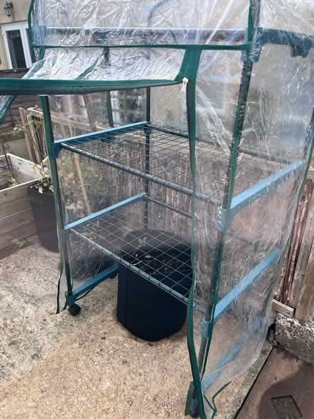 Photo of free Small plastic greenhouse (BA2) #3