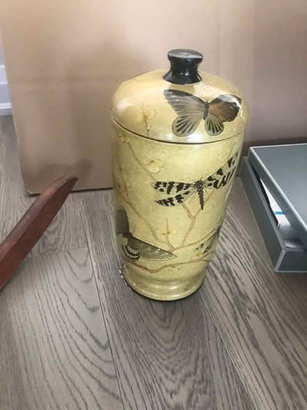 Photo of free Dragon fly container (Britannia & Creditview) #2