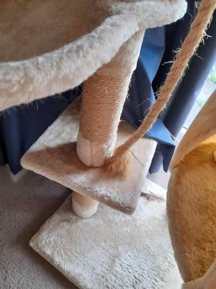 Photo of free Small cat tree (Kings Heath, B13) #3