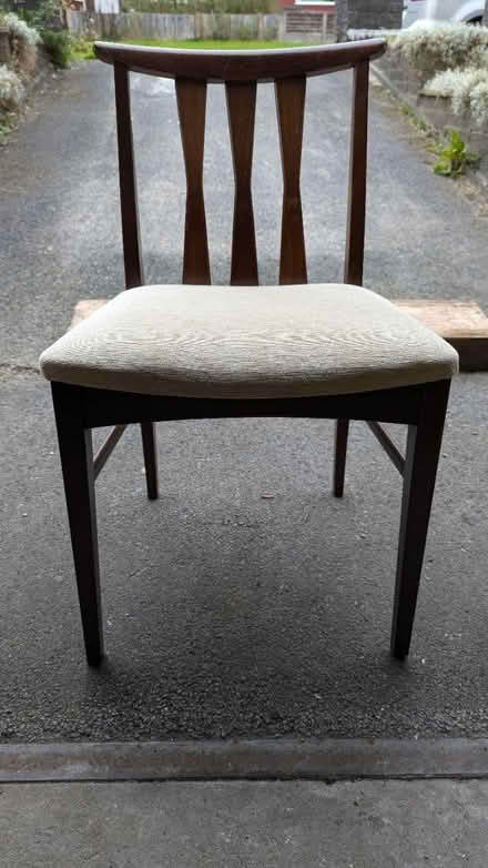 Photo of free Midcentury Chairs (Stalybridge, SK15) #2
