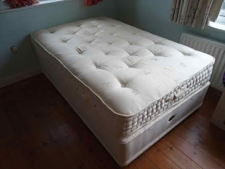 Photo of free Quality queen size bed (Meole village Shrewsbury) #1