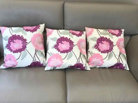 Photo of free Cushions (Woodmancote GL52) #1