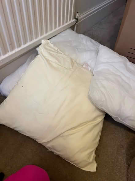 Photo of free 4 cushions (SK3 Stockport) #1
