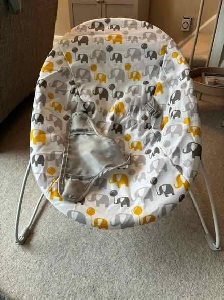 Photo of free Baby bouncer (Oughtibridge S35) #2