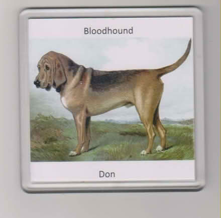 Photo of free Set of four plastic coasters featuring "Don" (Talbot Village BH12) #1