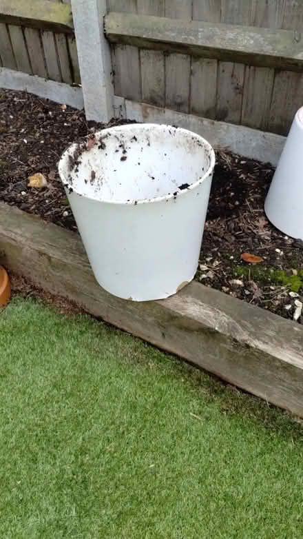 Photo of free Plant pots (Heatherside) #1