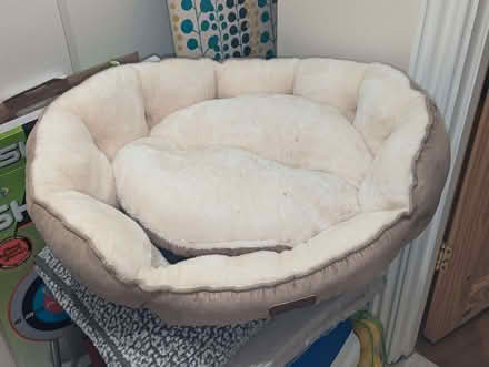 Photo of free Cat bed (Old Town SG1) #1