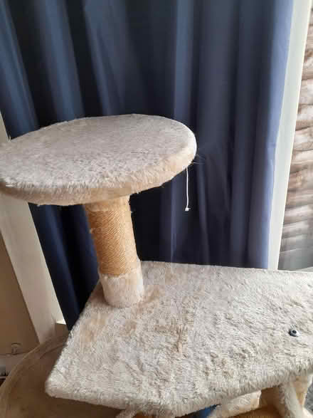 Photo of free Small cat tree (Kings Heath, B13) #4