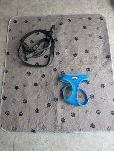 Photo of free Dog mat, lead and harness (West Wickham BR4) #1