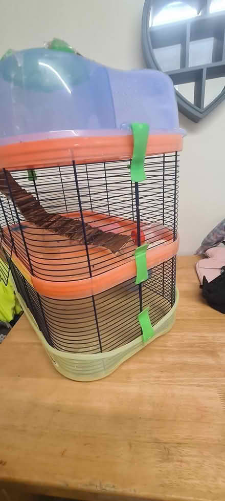 Photo of free animal cage (CH44 Wirral) #1