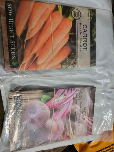 Photo of free Seeds (Dc) #1