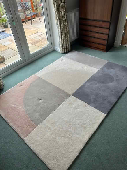 Photo of free Large contemporary rug (LL29) #1