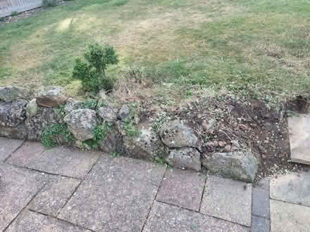 Photo of free Kentish Ragstone (TN24) #4