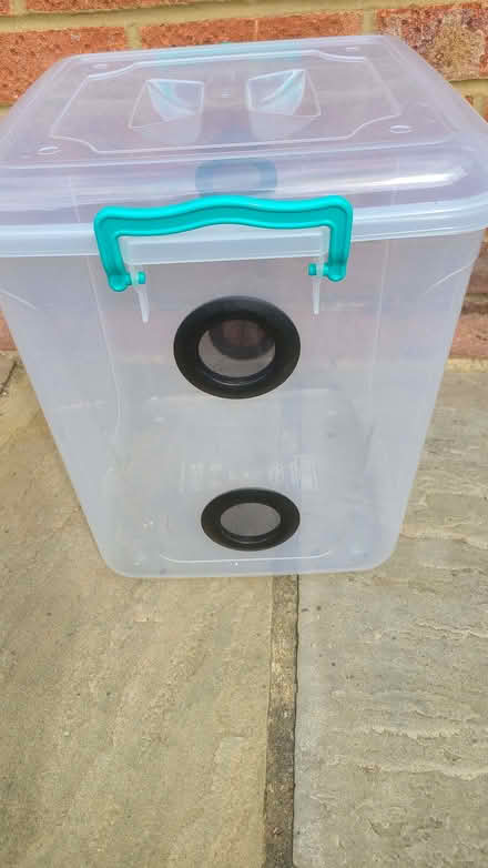 Photo of free Vivarium, stick insect tank (Woodley RG5) #3