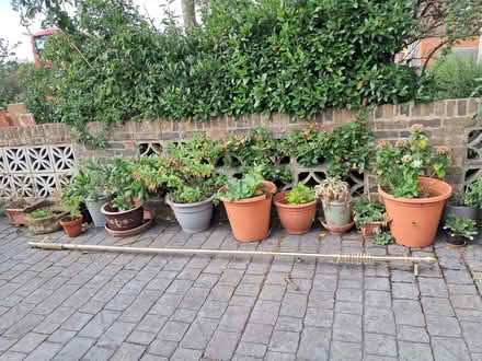 Photo of free Curtain Rail For A Big Window (DA1) #3