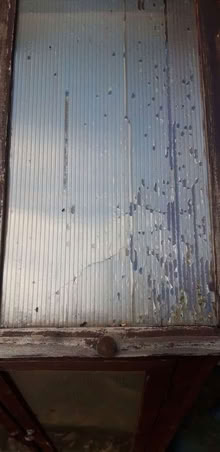 Photo of free Mini Green house (Ratby LE6) #1