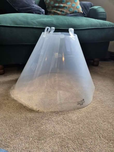Photo of free Very large E collar (WR3) #1