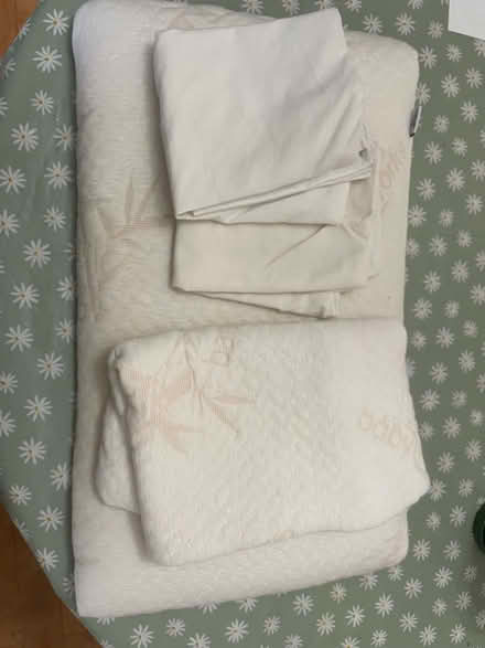 Photo of free Toddler pillow with cases (Blackburn Hamlet) #1