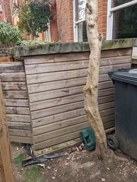 Photo of free Shed (Northfields) #4